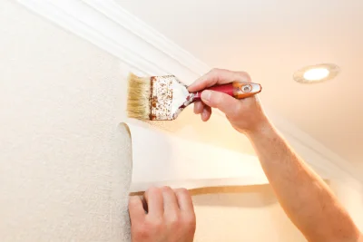 Pose de papier peint à la Mouche — revêtements muraux et toiles de verre